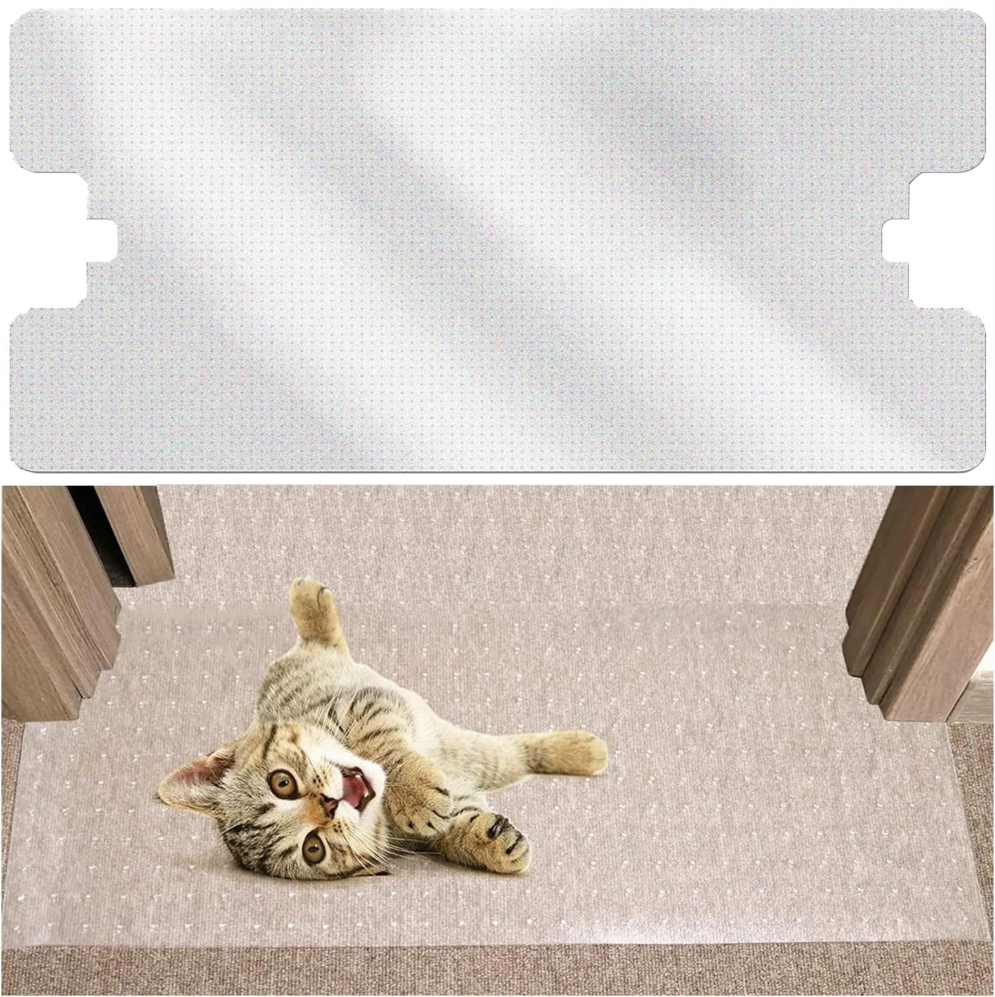 キャッツページ cat.jpg